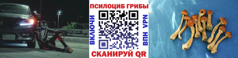 Псилоцибиновые грибы Magic Shrooms  ОМГ ОМГ ссылка  Серпухов 